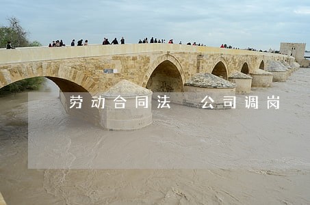 劳动合同法 公司调岗 劳动合同法 公司调岗